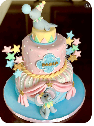 Meu Primeiro Zoológico - 13