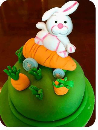 Meu Primeiro Zoológico - 35