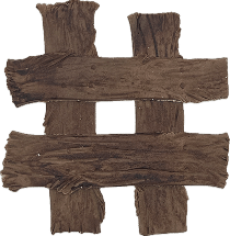 Meu Primeiro Zoológico - 78